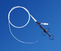 Sphincterotomy / Papillotomy