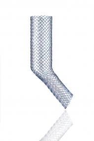J Carina AER stent