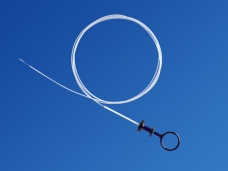 Colonoscopy Cytology Brushes