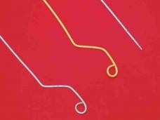 Percutaneous Transhepatic Cholangiography Drainage